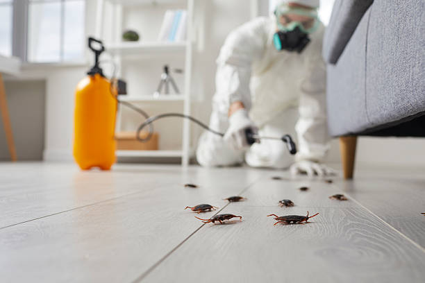 Commercial Kitchen Cockroach Control in Stamford